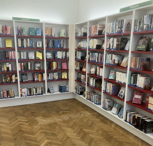 Bild enthält, Furniture, Bookcase, Person, Book, Publication, Indoors, Library