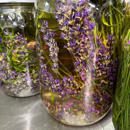 Drei Glasgläser mit Lavendelblüten und -stielen, die in Flüssigkeit eingetaucht sind, stehen auf einer Metalloberfläche. Der Lavendel ist eine Mischung aus Lila und Grün.