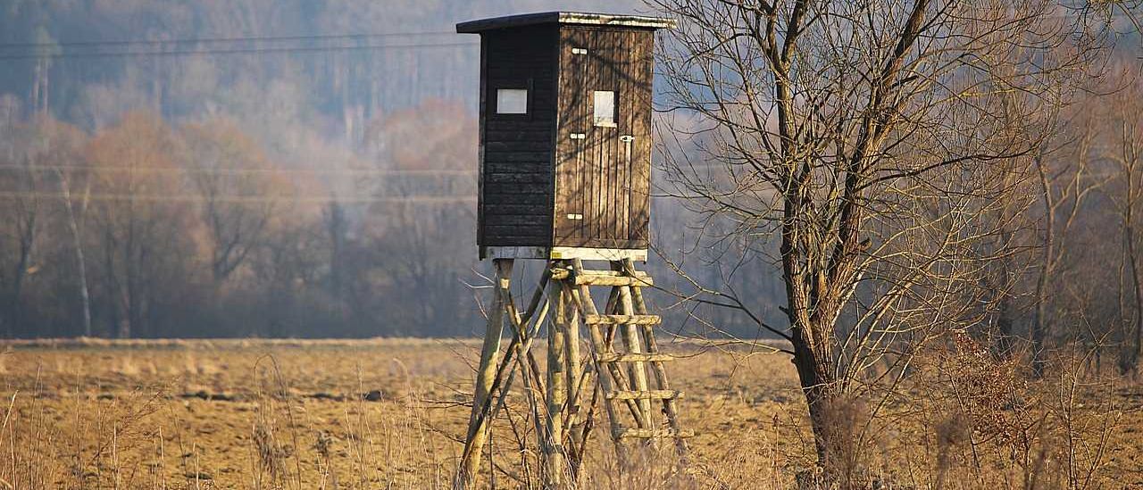 high-standing-643737_1280