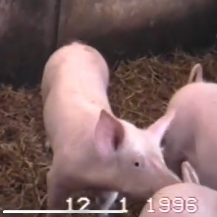 v1_migrated_image_57684082