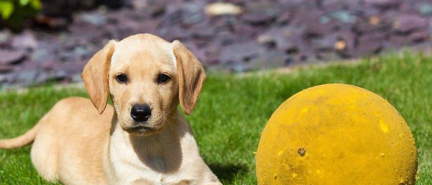 v1_migrated_image_99079676