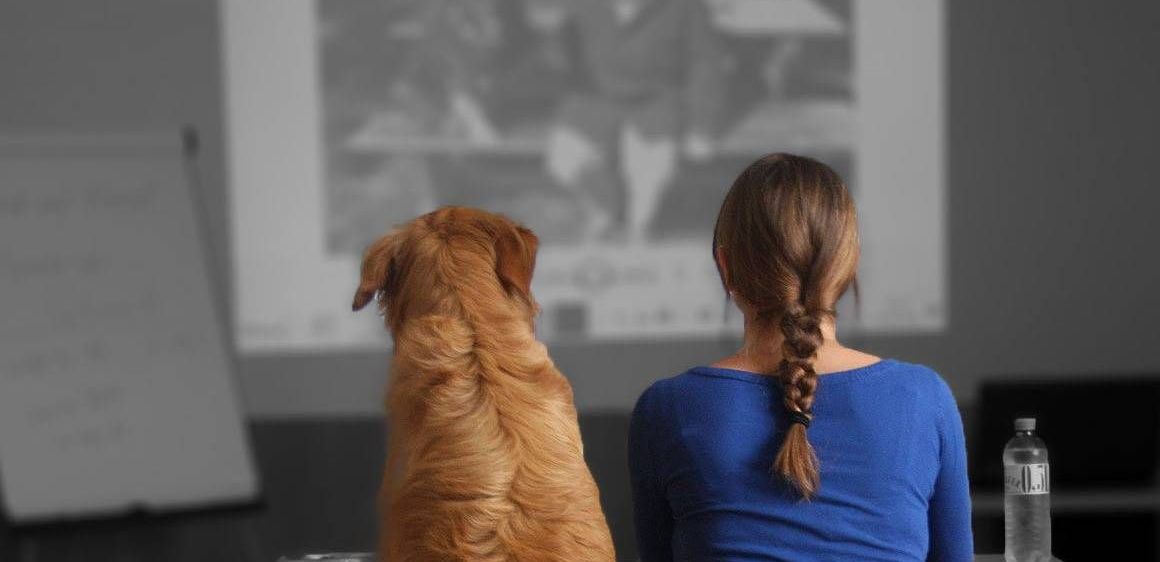 v1_migrated_image_40432732