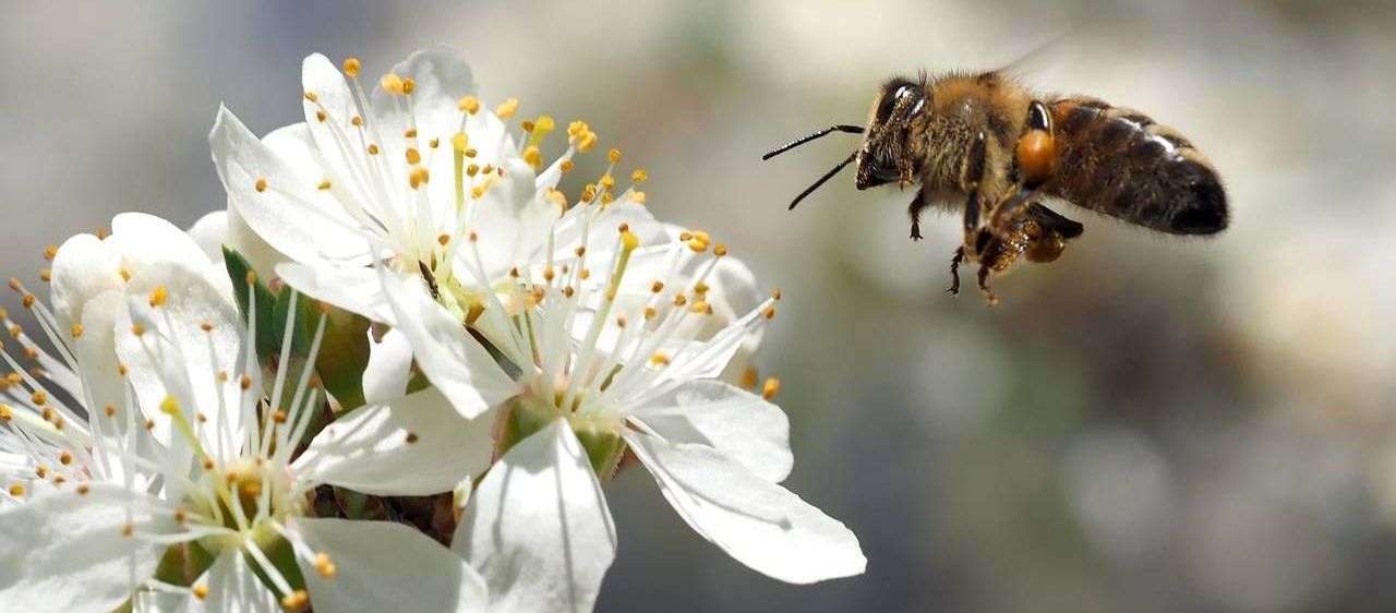 v1_migrated_image_23072688