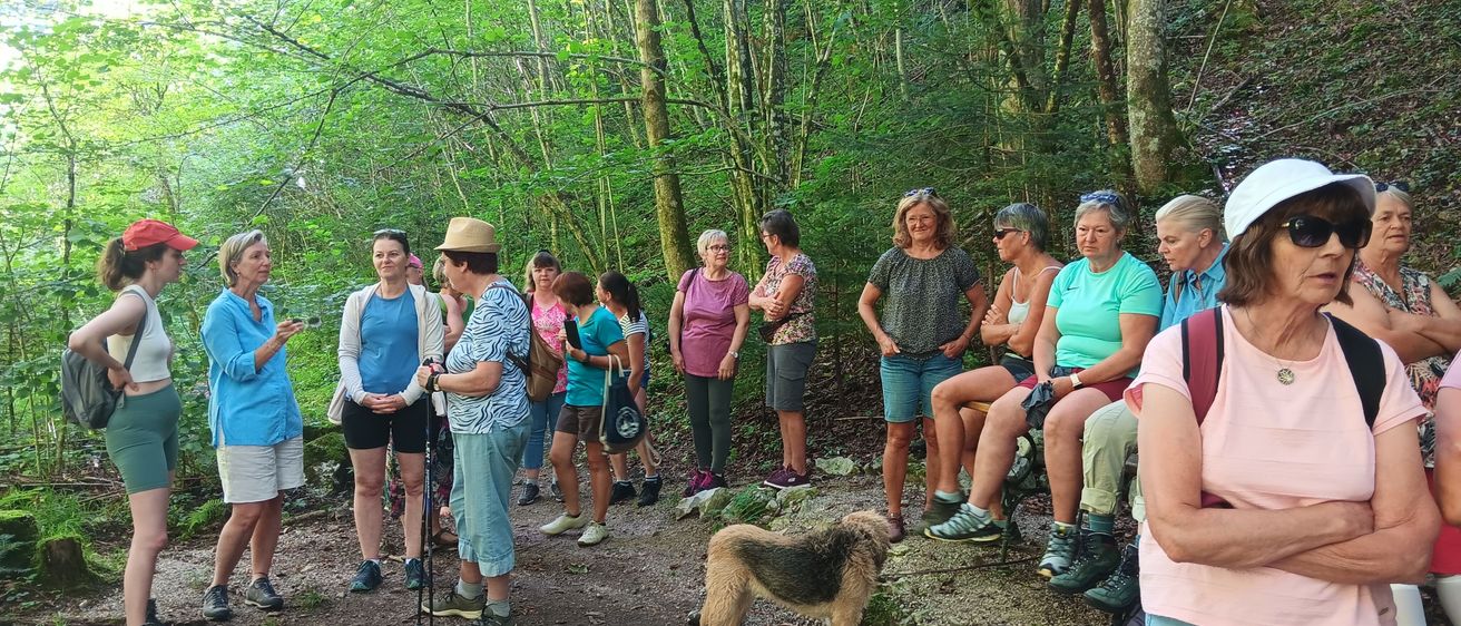 Bild enthält, Hiking, Vegetation, Land, Tree, Woodland, Jungle, Shorts, Grove, Path, Walking