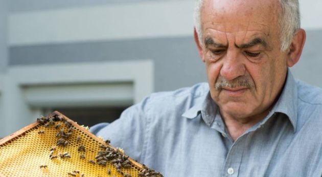 v1_migrated_image_24811496