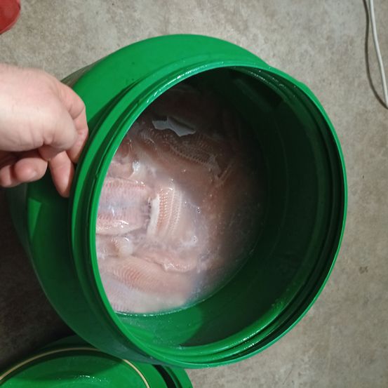 Bild enthält, Bucket, Baby, Person, Face, Head