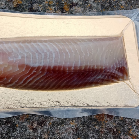 Bild enthält, Food, Seafood