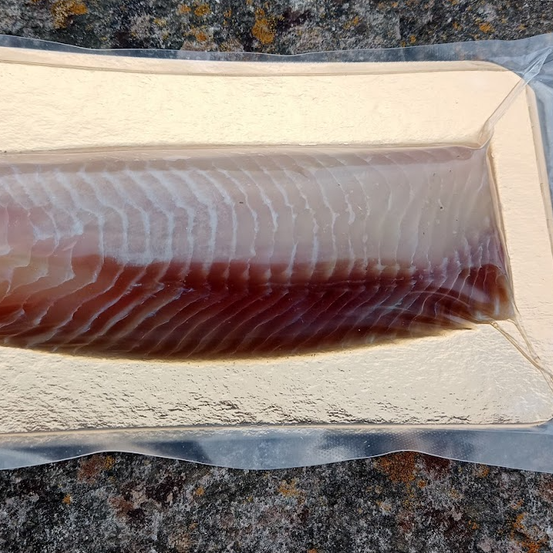 Bild enthält, Food, Seafood