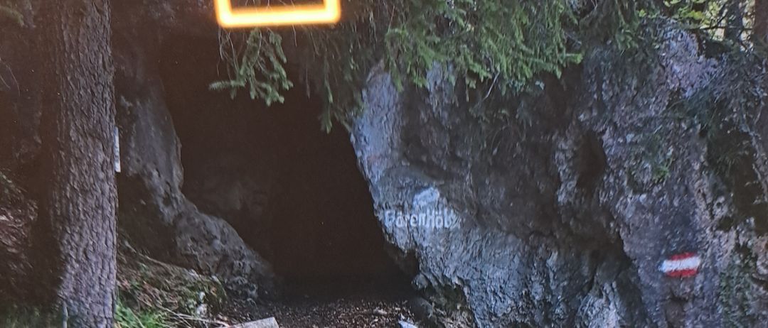 Ein Holztisch und zwei Bänke stehen in einem Wald. Ein großer Fels mit einem Schild befindet sich hinter der Bank.