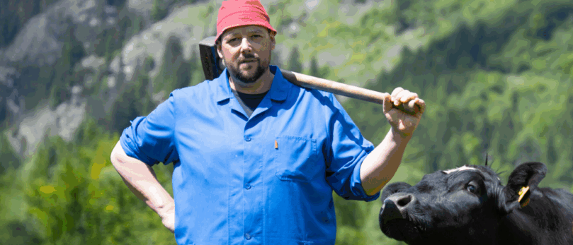Ein Mann in einem blauen Hemd und rotem Hut steht mit einem Vorschlaghammer und posiert neben einer Kuh auf einer Wiese.