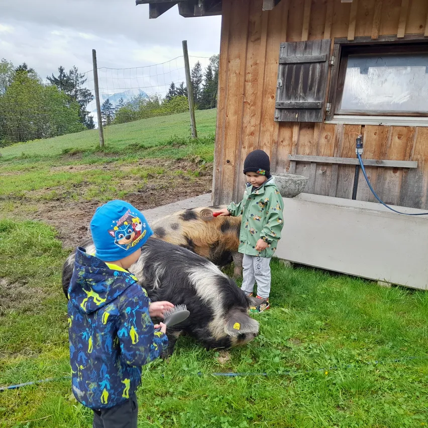 Zwei Kinder vor einem Holzhaus bürsten zwei Schweine. Hinter den Schweinen ist ein Zaun.