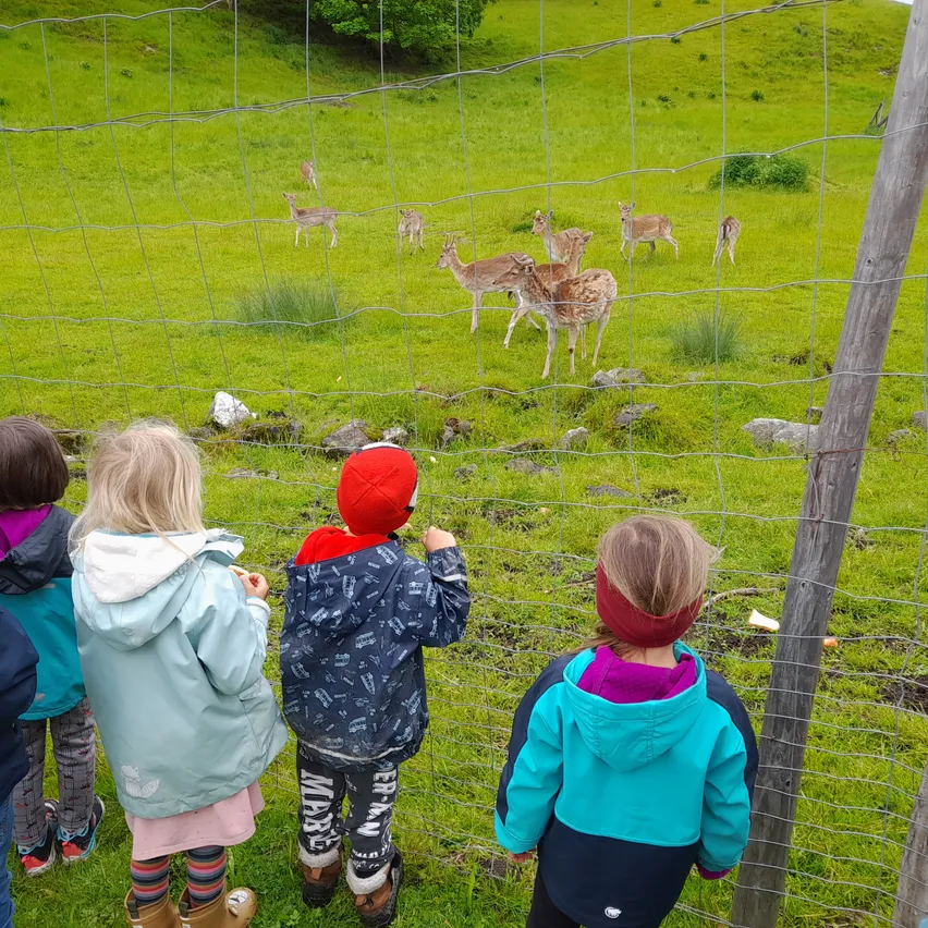 Drei Kinder in Regenmänteln und Stiefeln beobachten Rehe hinter einem Zaun. Die Rehe befinden sich in einem Grasfeld.