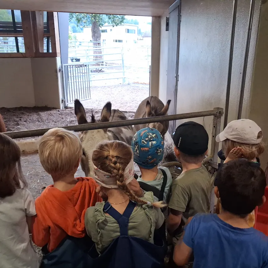 Eine Gruppe von Kindern steht in einer Scheune und schaut auf Esel. Die Esel stehen vor einem Metalltor.