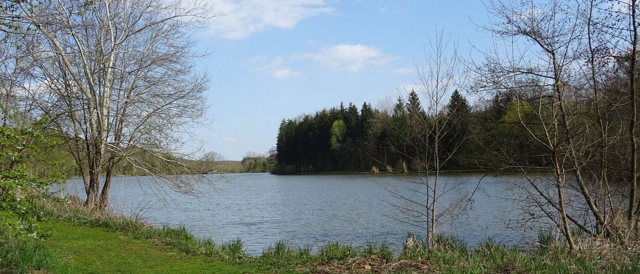 v1_migrated_image_61756210