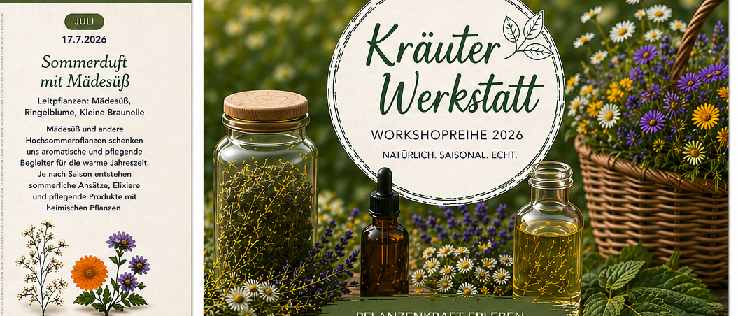 Poster für einen Kräuterworkshop. Enthält Termine, Themen und Kontaktdaten. Termine sind der 20. Juni, 17. Juli, 19. September und 17. Oktober. Themen sind Lindenblüte, Madaus Sommer, Kornelkirsche und Kräuterwurzeln. Der Workshop umfasst Pflanzenwissen, selbstgemachte Naturprodukte und praktische Arbeit. Kontaktdaten umfassen Adresse, Telefonnummer, E-Mail und Website.