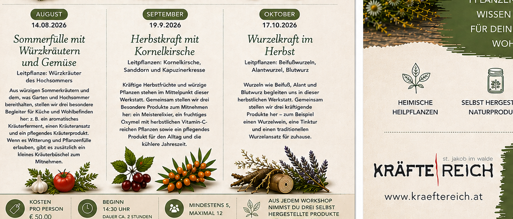 Ein Plakat für eine Workshopreihe zu Kräuterkünsten, mit Bildern von Kräutern und Gläsern, Datum und Titeln für verschiedene Workshops und Kontaktinformationen.