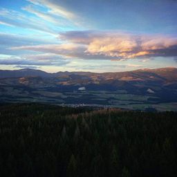 Ein Blick von oben auf ein bewaldetes Gebiet. Berge sind in der Ferne sichtbar, mit einem klaren blauen Himmel darüber. Die Bäume sind dicht, und der Boden ist mit Gras bedeckt.
