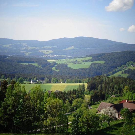 Luftaufnahme eines grünen Tals mit Häusern, Feldern und Bergen im Hintergrund.