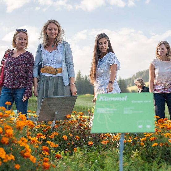 Fünf Frauen stehen in einem Garten voller orangefarbener Blumen, mit einem grünen Schild, das 'Kummel' steht und eine Frau liest das Schild.