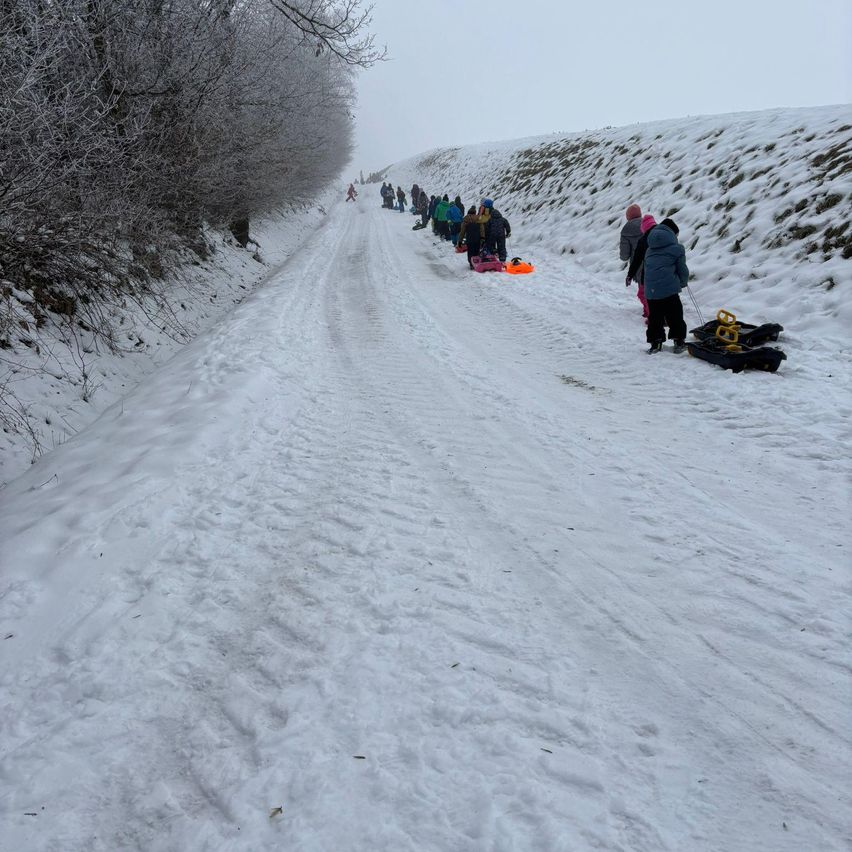 Eine Gruppe von Menschen geht einen verschneiten Hügel hinunter, einige rodeln. Bäume mit Eis sind links.