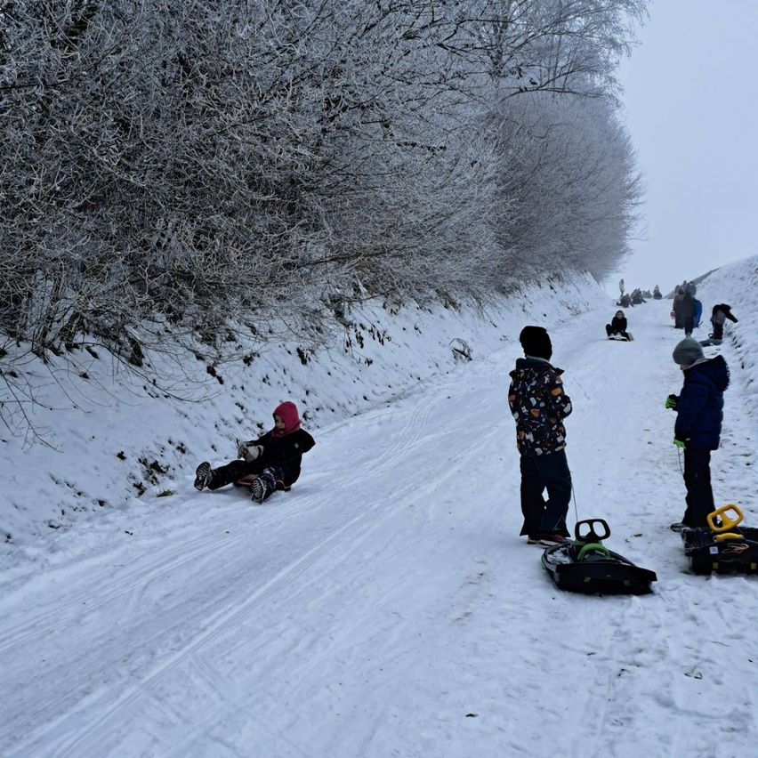 Eine Gruppe von Kindern rodelt einen verschneiten Hügel hinunter. Ein Kind sitzt auf einem Schlitten, während andere mit ihren Schlitten in der Nähe stehen.