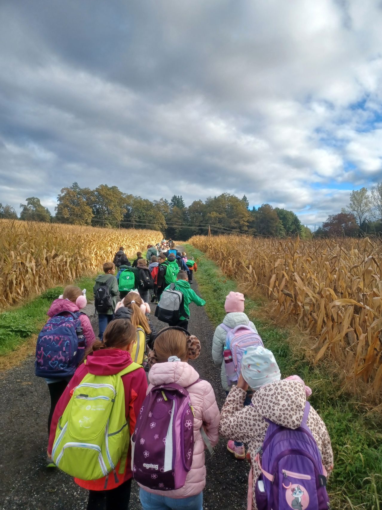 Eine Gruppe von Kindern, die Rucksäcke und Winterkleidung tragen, geht gemeinsam einen Pfad in einem Maisfeld entlang, unter einem bewölkten Himmel.
