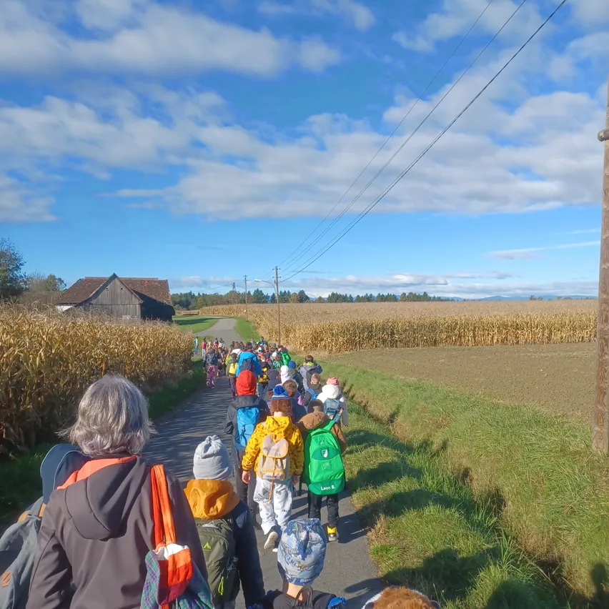 Eine große Gruppe von Kindern mit Rucksäcken läuft auf einem Pfad durch ein Maisfeld, mit einer Scheune in der Ferne.
