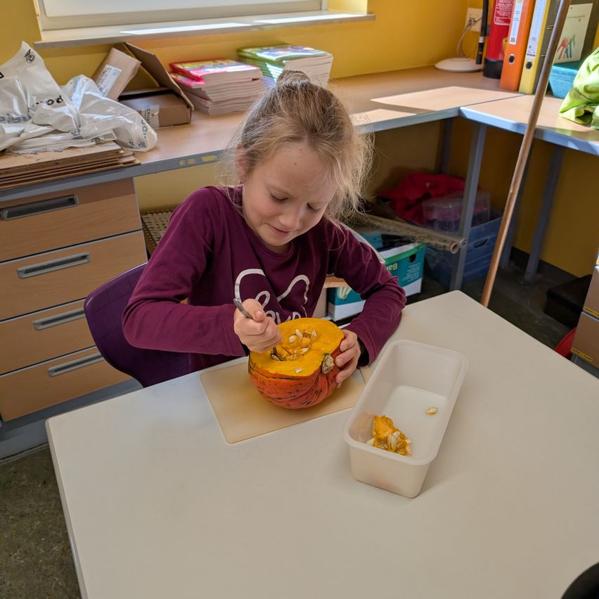 Ein kleines Mädchen sitzt an einem Tisch und schöpft mit einem Löffel das Innere eines Kürbisses aus.