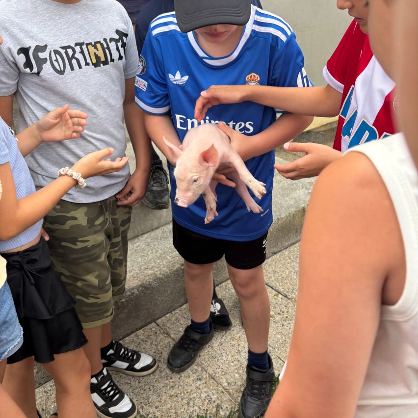 Eine Gruppe von Kindern steht um einen Jungen, der ein kleines rosa Schwein hält.