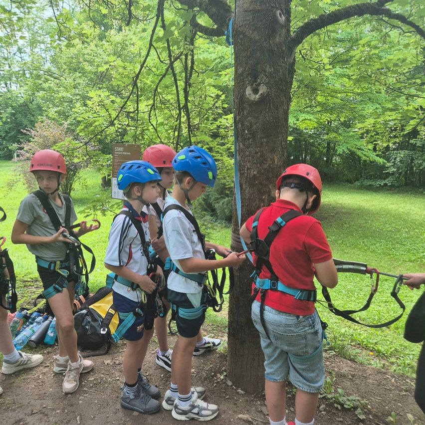 Eine Gruppe von Kindern in Helmen klettert mit Seilen auf einen Baum in einem Park.