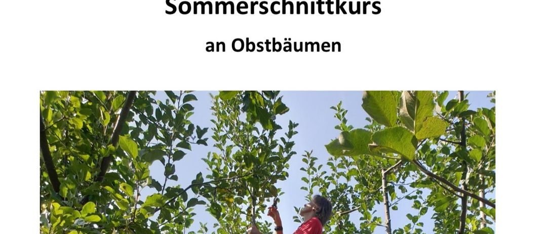 Plant, Vegetation, Person, Outdoors, Tree, Leaf, Adventure, Leisure Activities
