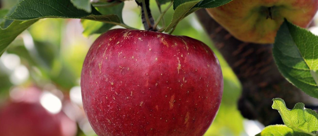 v1_migrated_image_10335148