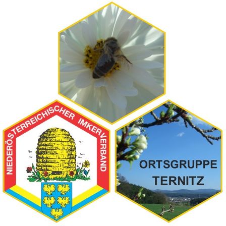 Drei sechseckige Bilder: Eines zeigt eine Biene auf einer Blume, ein anderes zeigt einen Bienenstock mit einem Wappenschild und das dritte zeigt eine Frühlingslandschaft mit einem Zweig und Bergen.