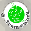 Logo mit einem grünen Kreis, auf dem eine Person mit einem Hund abgebildet ist, und der Text ORV HSV BAD VOSLAN. Das Design beinhaltet einen Pfotenabdruck links und Team@Work in weiß geschrieben.