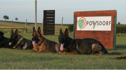 v1_migrated_image_94152772