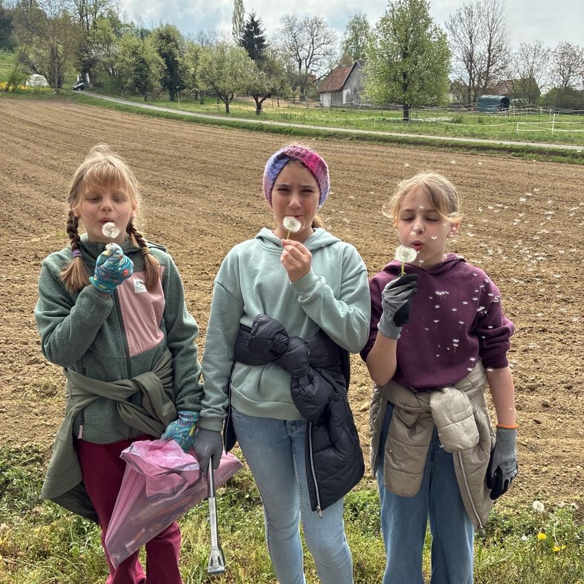 Drei junge Mädchen pusten auf Löwenzahn in einem Grasfeld. Eines hält ein rosa Netz, ein anderes trägt einen rosa Hut. Sie stehen in der Nähe eines Erdfeldes mit Bäumen und einem Haus in der Ferne.