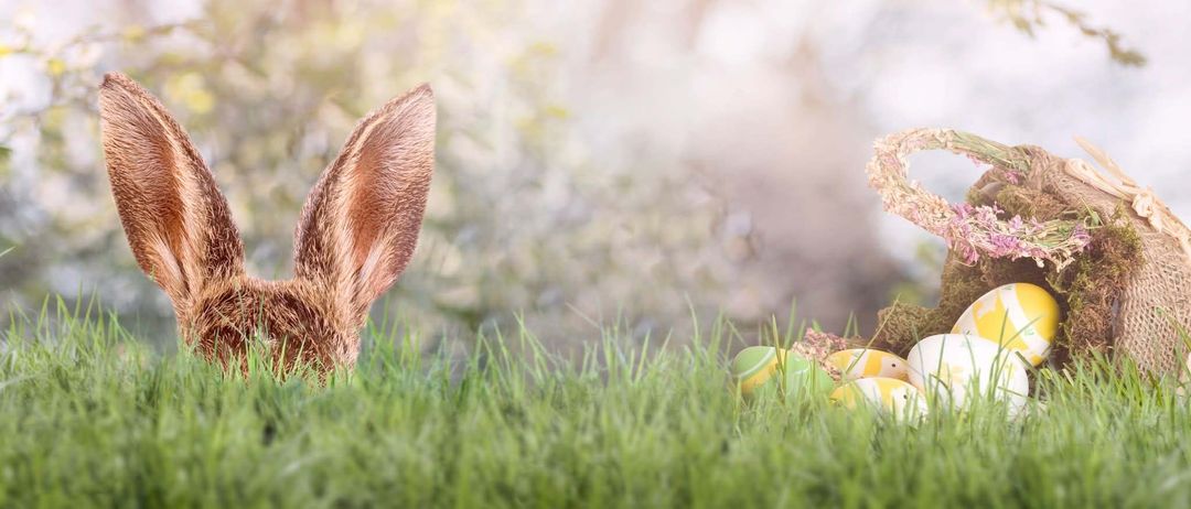 Ein Osterhase schaut aus dem Gras hervor, umgeben von Ostereiern. Der Hintergrund zeigt Bäume mit rosa Blüten und ein Banner mit der Aufschrift 'Oster Rally'.