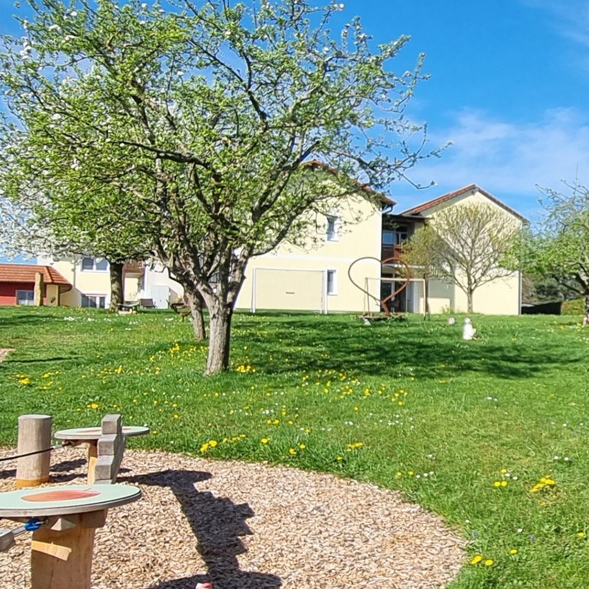 Outdoor-Spielplatz mit gelbem Gras und blühenden Apfelbäumen an einem sonnigen Tag.