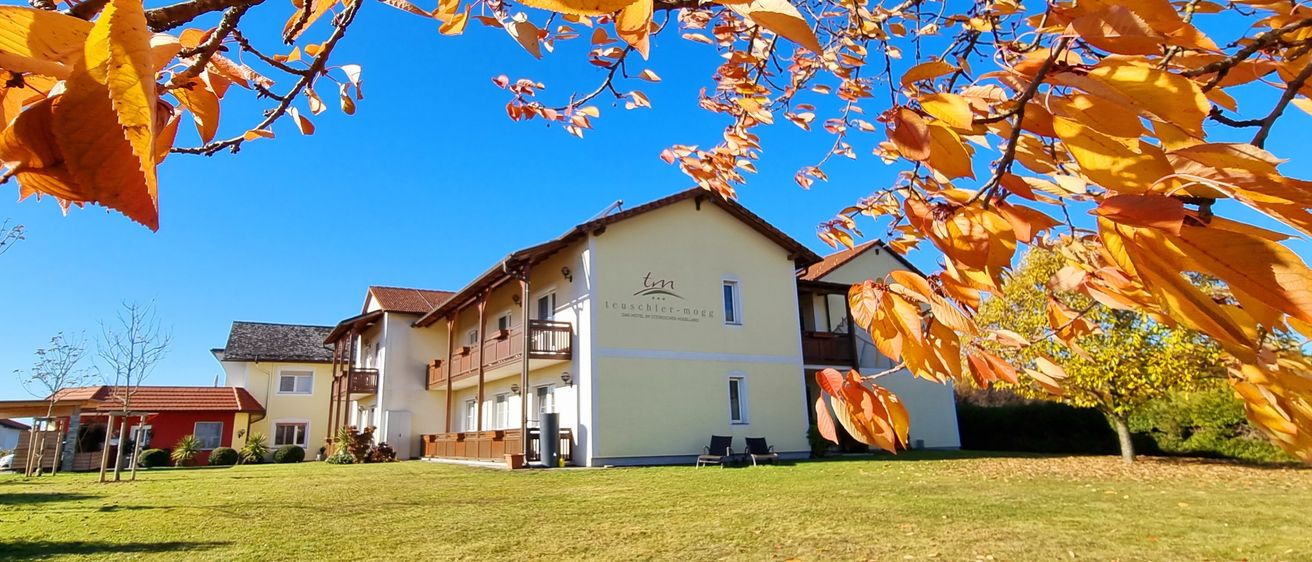 Ein großes Haus mit vielen Fenstern und einem Balkon, umgeben von einem üppigen grünen Rasen, unter einem blauen Himmel mit orangefarbenen Blättern.
