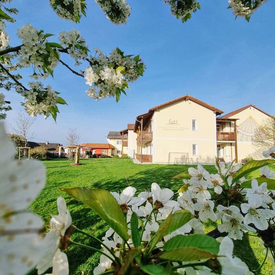 Ein großes Gebäude mit mehreren Balkonen und Fenstern steht auf einer grasbewachsenen Wiese unter einem klaren blauen Himmel. Es ist von weißen Blumen und Bäumen umgeben.