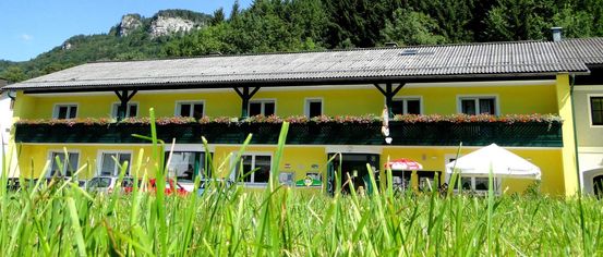 Outdoors, Shelter, Grass, Villa, Hotel, Vegetation, Tree, Resort, Summer, Green