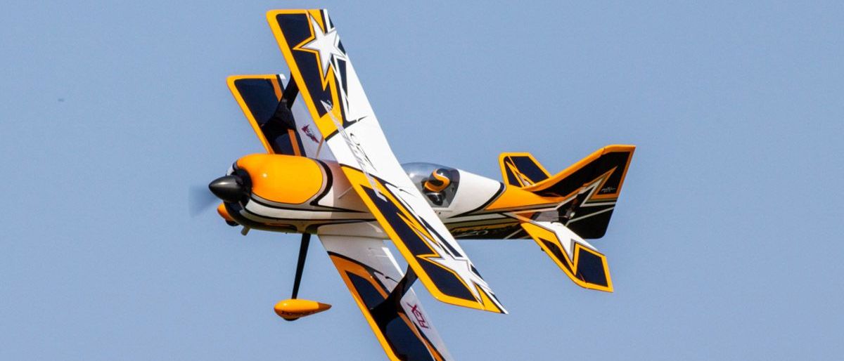 Image contains, Animal, Bird, Flying, Aircraft, Airplane, Transportation, Vehicle, Jet, Biplane