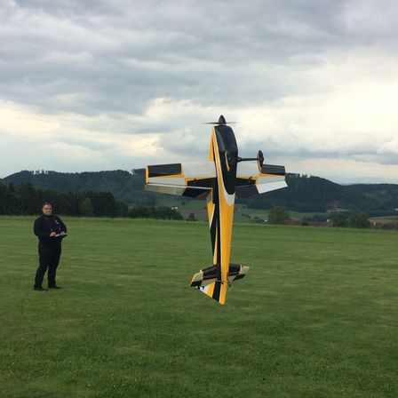 Bild enthält, Grass, Cross, Airport, Airplane, Airfield, Lawn, Person, Field, Outdoors, Nature