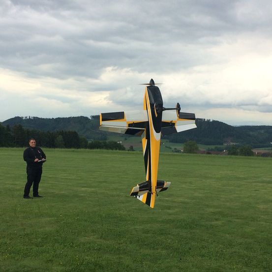 Image contains, Grass, Cross, Airport, Airplane, Airfield, Lawn, Person, Field, Outdoors, Nature