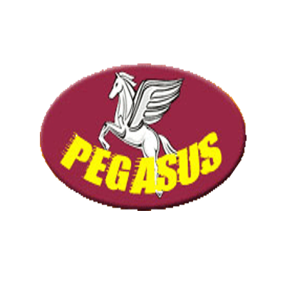 Image contains, Logo, Person, Symbol