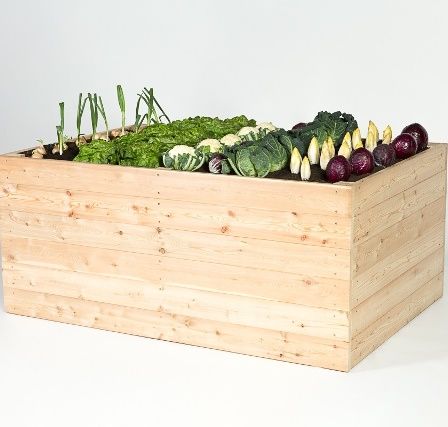 Ein hölzerner Pflanzkasten mit verschiedenen Gemüsesorten wie Salat, Kohl und Radieschen gefüllt.