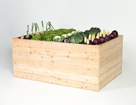 Ein hölzerner Pflanzkasten mit verschiedenen Gemüsesorten wie Salat, Kohl und Radieschen gefüllt.