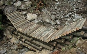 Bild enthält, Wood, Rubble, Rock, Nature, Outdoors