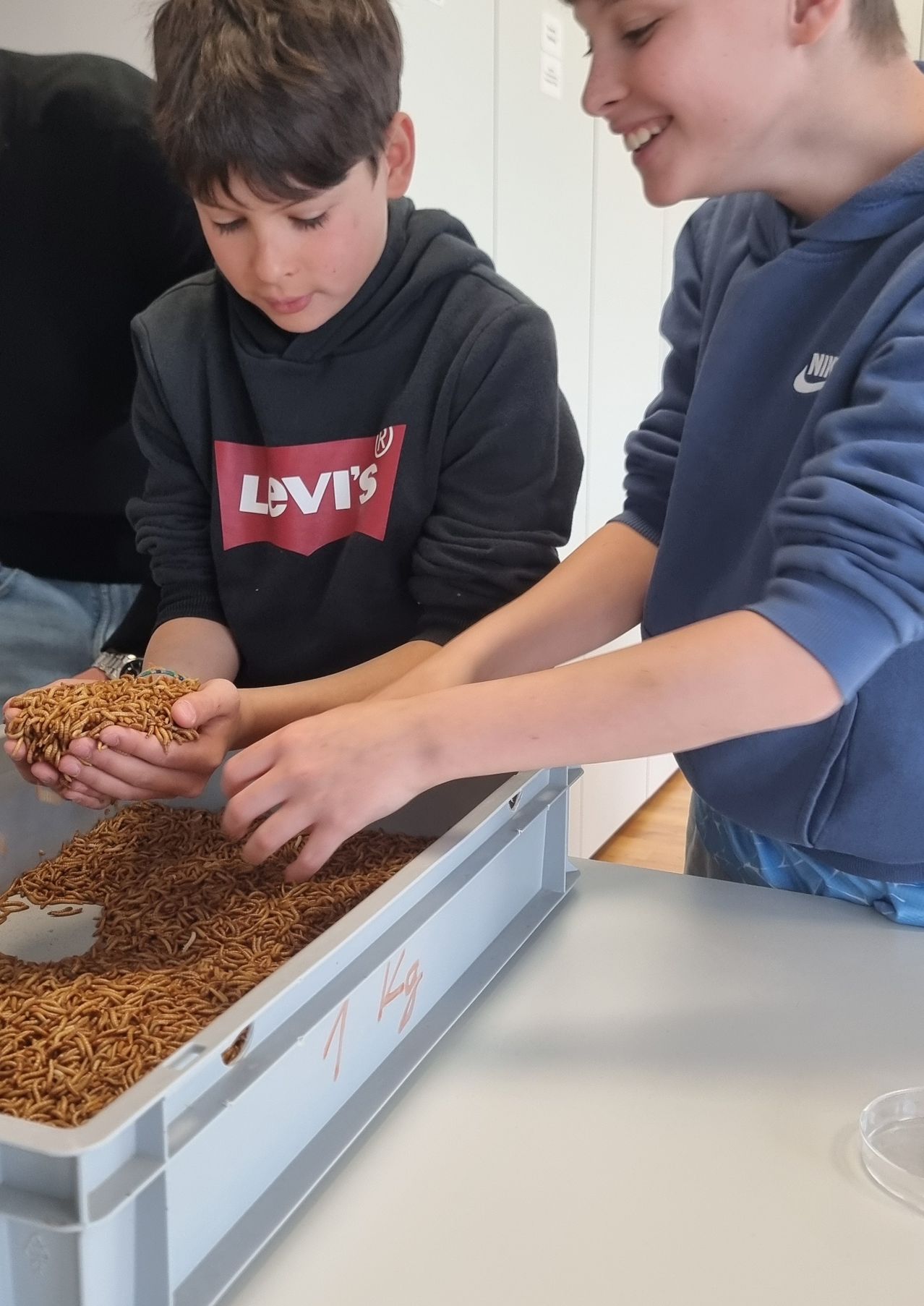 Two children in hoodies, one in a Levi's sweatshirt, inspect insects in a tray. One holds insects in their hands.