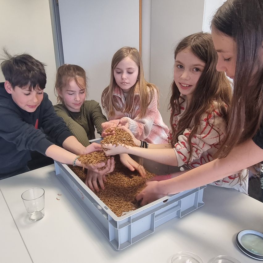 Five children are gathered around a table, examining something in a plastic tray. The children appear to be exploring grains.